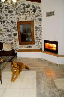 Natural House with Sea View & Garden - Heraklio - 6