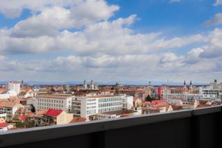 Plaza Apartment - Satu Mare - 9