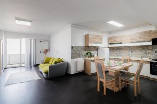 Plaza Apartment - Satu Mare - 6