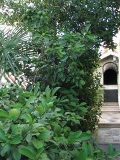 Apartment in Kanica with sea view, terrace, air conditioning, WiFi 5168-3 - Sevid - 2