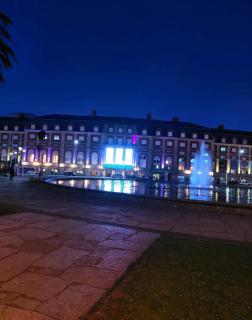 HERMOSO MONOAMBIENTE CENTRICO - 2