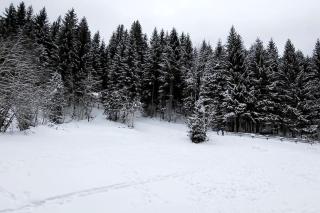 Cocon à chatel - Châtel - 9