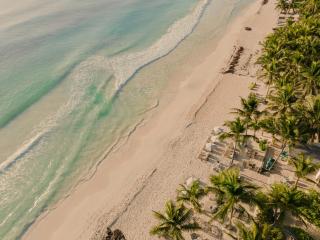 Chiringuito Tulum - Tulum - 1