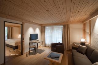 Bernerhof Swiss Quality Hotel Gstaad - 9