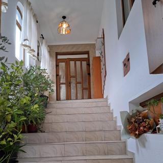 Casa din livada - Borşa - 4