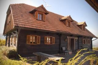 Apartmaji Žolnir - Kostanjevica na Krki - 0