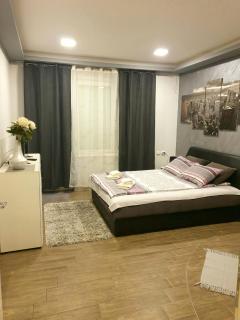 Ceca Apartman - Niš - 9