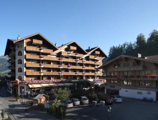 Bernerhof Swiss Quality Hotel Gstaad - Gstaad - 0