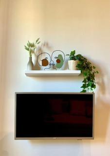 Lovely studio flat in Bocconi - Milan - 3