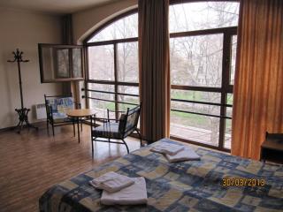 Central Family Hotel - Haskovo - 6