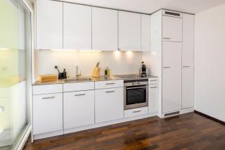 STAYY Green Oasis near Zurich I free Parking I TV - Dietikon - 7