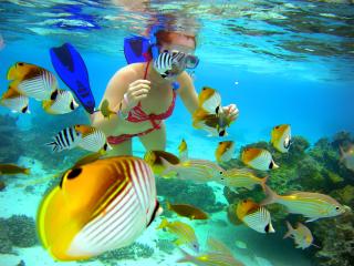 The Rarotongan Beach Resort & Lagoonarium - Rarotonga - 7