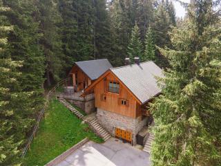 Vila Triglav on Pokljuka - Goreljek - 9