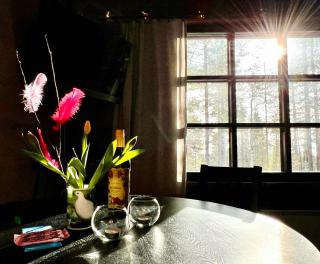 Arctic Lodges Lapland Ski In Family Studio, Wi-Fi, National Park - Lapland Villas - Pyhätunturi - 8
