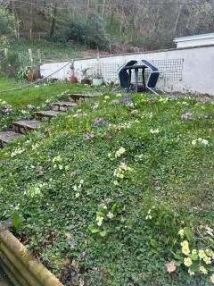 Fernhill Retreat - Charmouth - 6