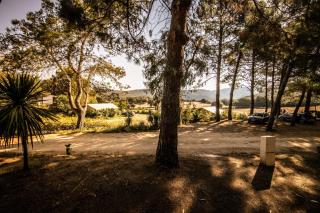 Camping Olva *** - Sartène - 9