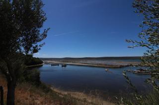 OLIVE GARDEN & SEA Apartments - 6