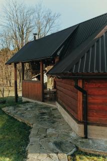 VIGORA - Verkhovyna - 5