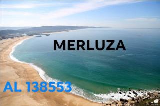 Merluza - Nazaré - 0