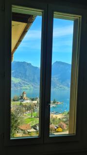 Swiss Holiday Apartments - Spiez - 6