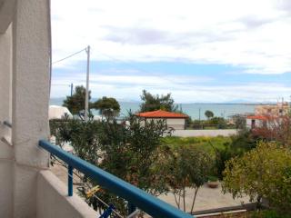 Hotel Flisvos - Megalochori - 9