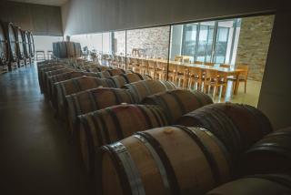 Wine Grower's Mansion Zlati Gric - Slovenske Konjice - 3
