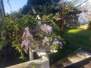 Studio Buena Vista avec terrasse sur jardin - Bron - 9