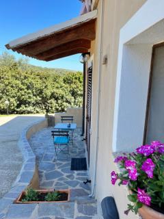 Casa EDERA - Olbia - 6