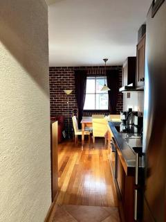 Apartmán Bílé Labe v centru města Špindlerův Mlýn - Špindlerův Mlýn - 1