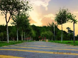 ILLARA SPA Hotel - 4