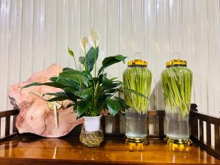 2A Travel-Homestay - Ha Giang - 9