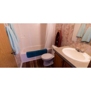 Shady Shores RV Resort & Campground - 1