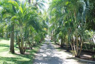 Beso del Viento (Adults Only) - Parrita - 9