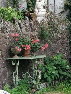 OSBORNE GUEST HOUSE - Sintra - 6