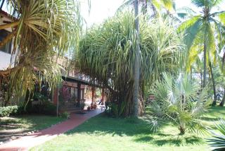 Beso del Viento (Adults Only) - Parrita - 2