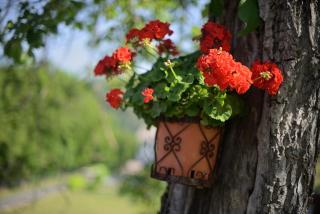 Bed And Breakfast Montino - 2