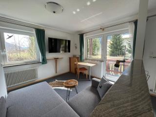 Apartments Hohenberger Mallnitz - Tauernbad und Sauna im Winter inklusive! - 9