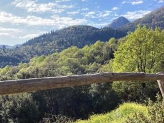 Alba 2-Bed Cottage - Sleeps 4 - Montseny Park - Arbúcies - 3