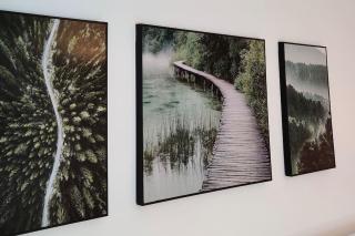 Modern-gemütliche Wohnung, ganz neu, in Neuenheim, Heidelberg - Heidelberg - 7
