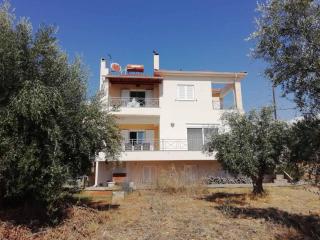 Rural 3-bedroom house Kalamata - Kalamata - 7