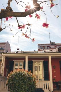 AT Home 128 : little garden in the city - Torino - 8