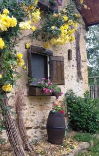 il Bosco - Roccaforte Mondovì - 1