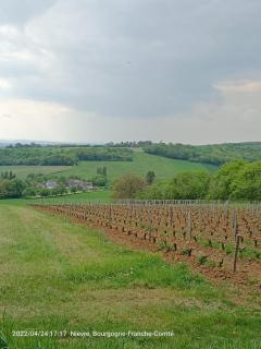 La Chaumière de Mauvrain - La Celle-sur-Nièvre - 4