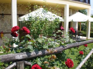 Olympia Guesthouse - Vergina - 1