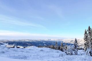 New ap The Nest in Hafjell ski in out and fast Wifi - 5