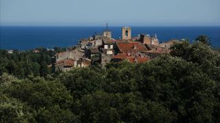 Beau studio tout équipé dans le centre historique - Biot - 5