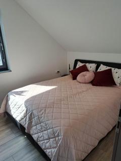 Apartmaji Tisa in Žana - 1