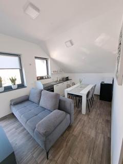 Apartmaji Tisa in Žana - Rovte - 9