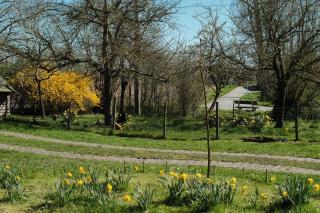in Den Akker - Oudenaarde - 5