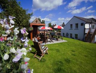 Black Swan - Penrith - 8